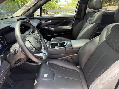 2023 Hyundai Santa Fe Calligraphy